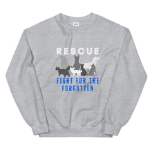 Load image into Gallery viewer, Fight For The Forgotten Blue Sweatshirt (Unisex)

